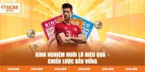 Kinh Nghiệm Nuôi Lô Hiệu Quả – Chiến Lược Bền Vững